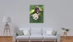Inspire Dog picture